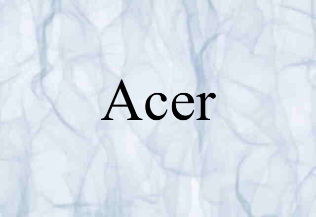 Acer (noun) Definition, Meaning & Examples