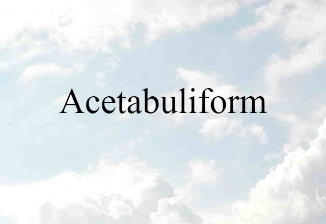 Acetabuliform (noun) Definition, Meaning & Examples