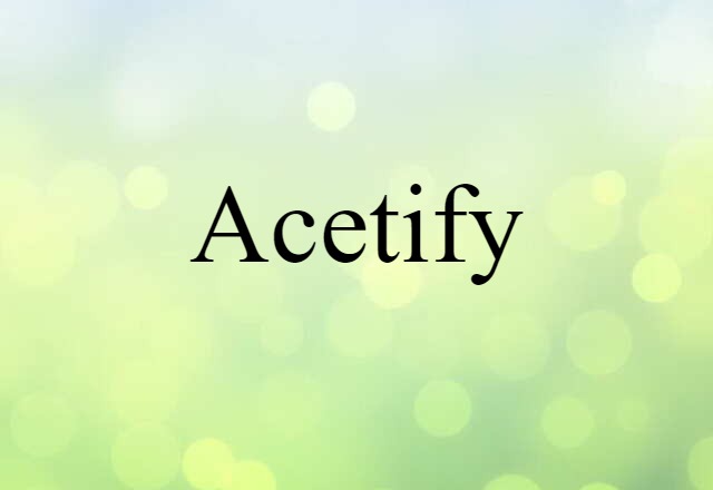 Acetify (noun) Definition, Meaning & Examples