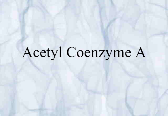 acetyl coenzyme A