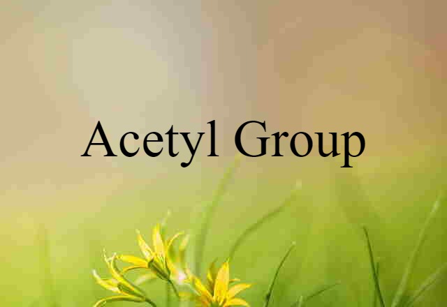 Acetyl Group (noun) Definition, Meaning & Examples