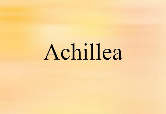 Achillea (noun) Definition, Meaning & Examples