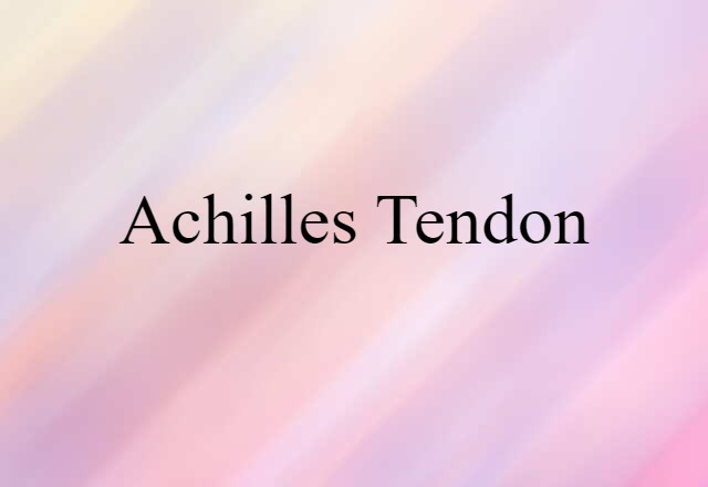 Achilles tendon