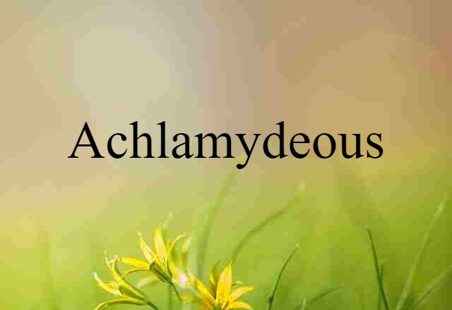 Achlamydeous (noun) Definition, Meaning & Examples