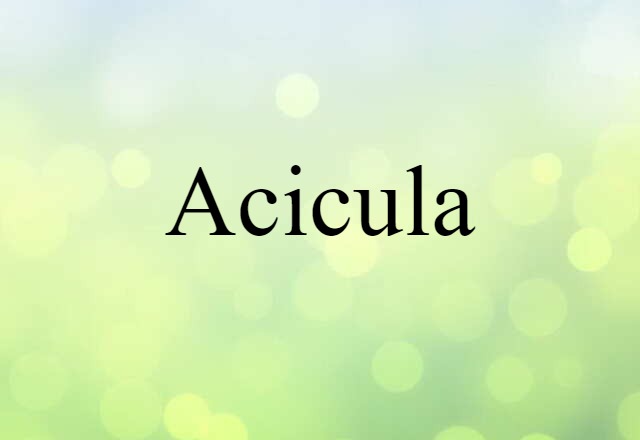 acicula