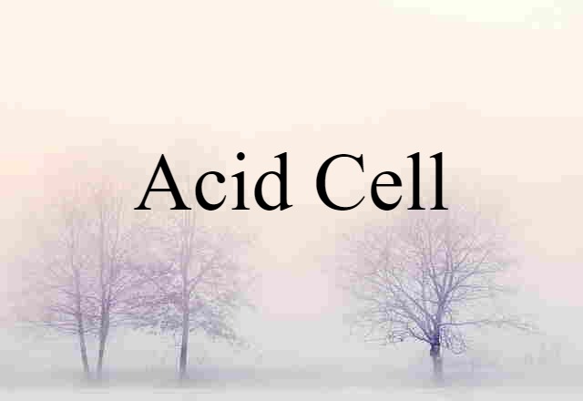 Acid Cell (noun) Definition, Meaning & Examples