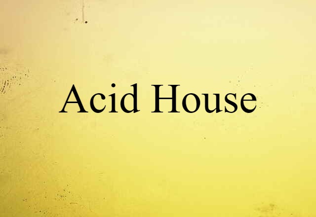 Acid House (noun) Definition, Meaning & Examples