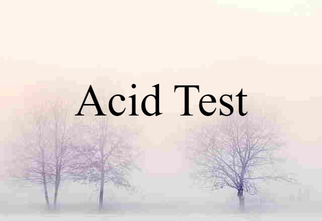 Acid Test (noun) Definition, Meaning & Examples