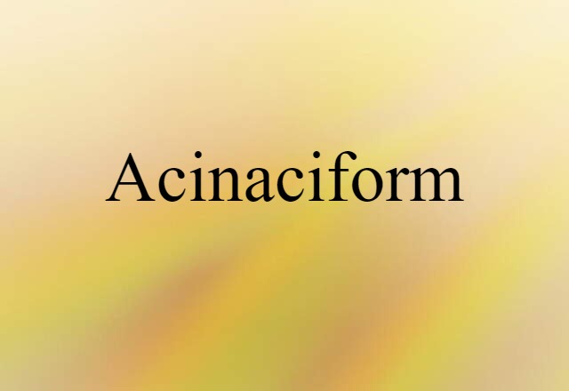 Acinaciform (noun) Definition, Meaning & Examples