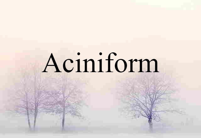 Aciniform (noun) Definition, Meaning & Examples