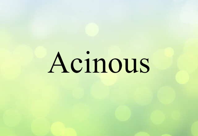 Acinous (noun) Definition, Meaning & Examples