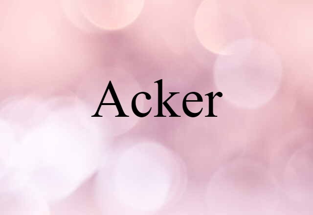 Acker (noun) Definition, Meaning & Examples