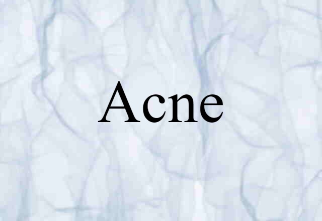 Acne (noun) Definition, Meaning & Examples