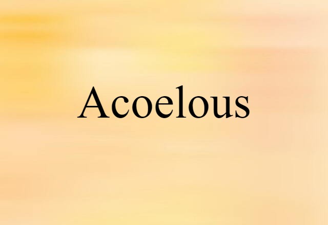 acoelous