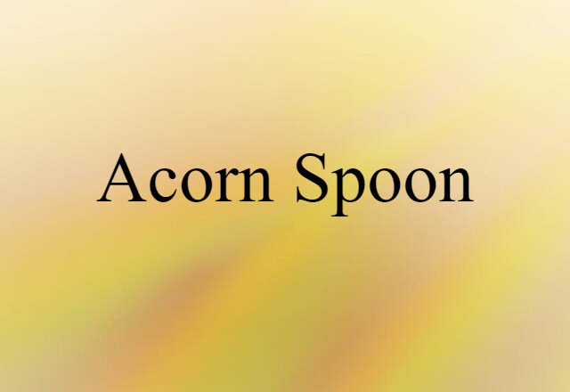 Acorn Spoon (noun) Definition, Meaning & Examples