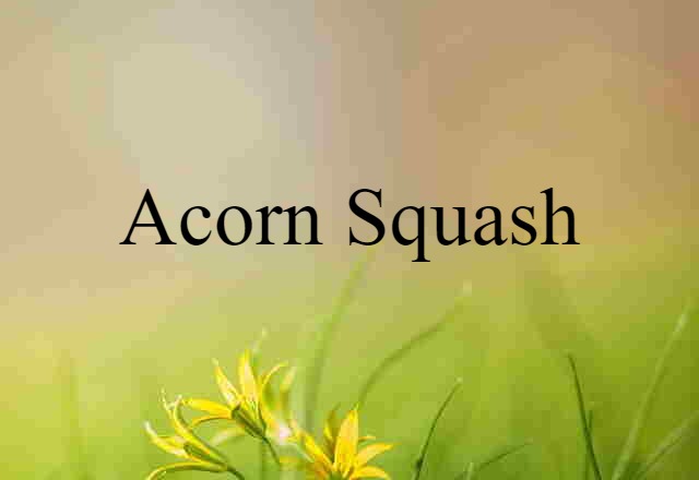 Acorn Squash (noun) Definition, Meaning & Examples