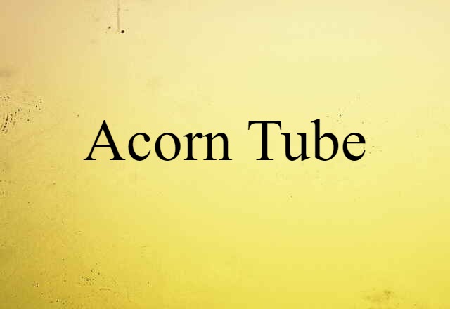 Acorn Tube (noun) Definition, Meaning & Examples