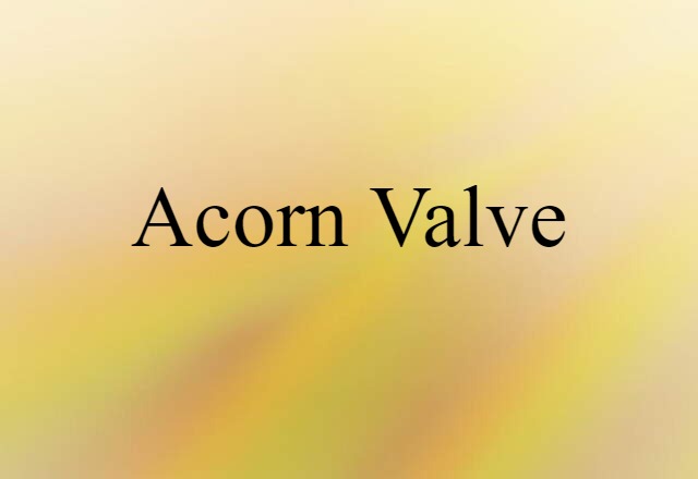 Acorn Valve (noun) Definition, Meaning & Examples