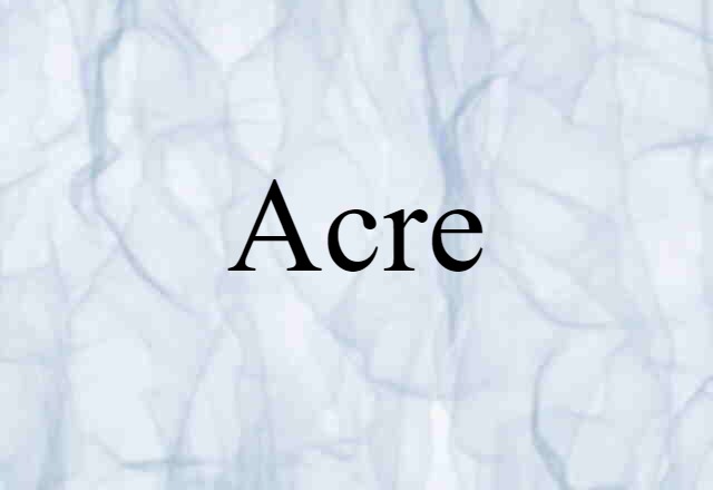 Acre (noun) Definition, Meaning & Examples