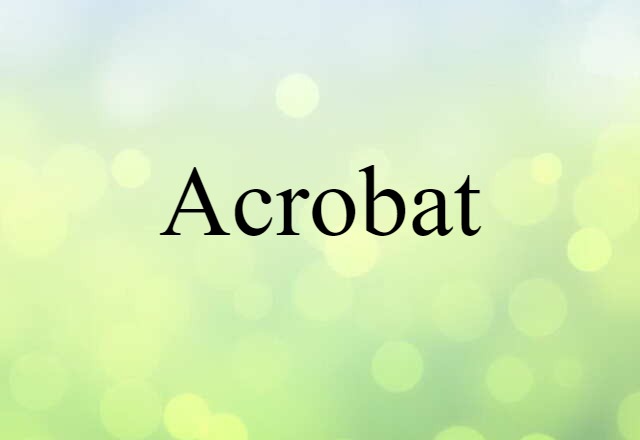 Acrobat (noun) Definition, Meaning & Examples