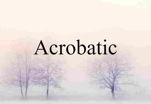 Acrobatic (noun) Definition, Meaning & Examples