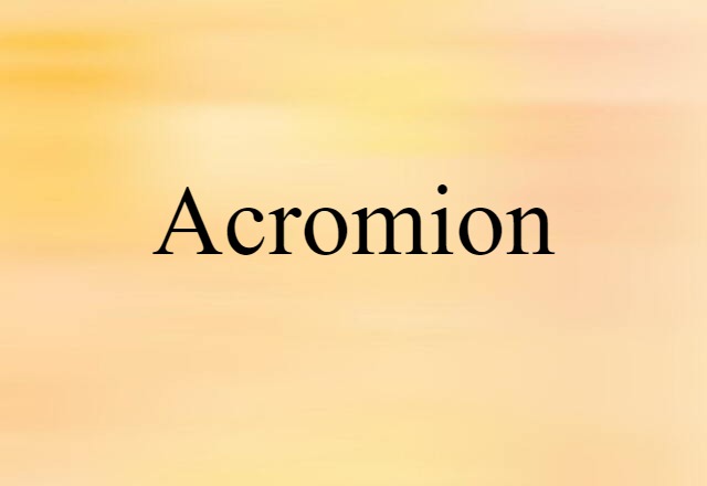 Acromion (noun) Definition, Meaning & Examples