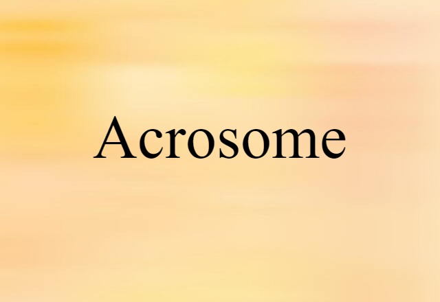 acrosome