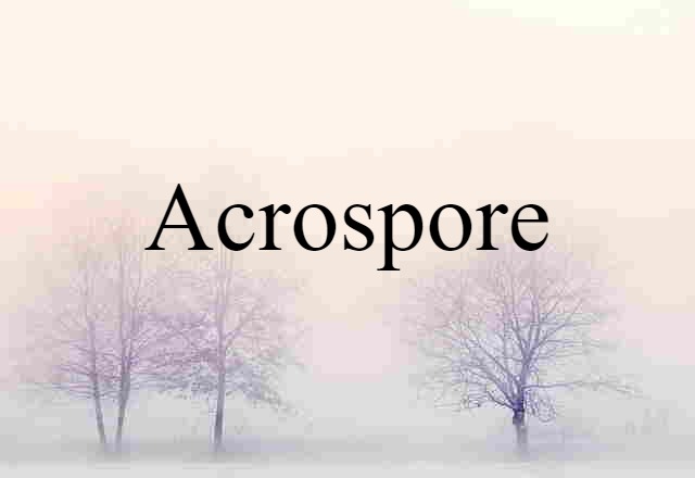 acrospore