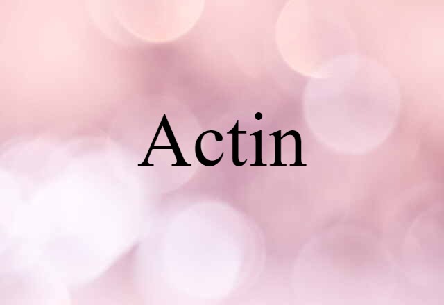 Actin (noun) Definition, Meaning & Examples