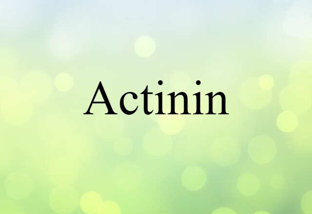 Actinin (noun) Definition, Meaning & Examples