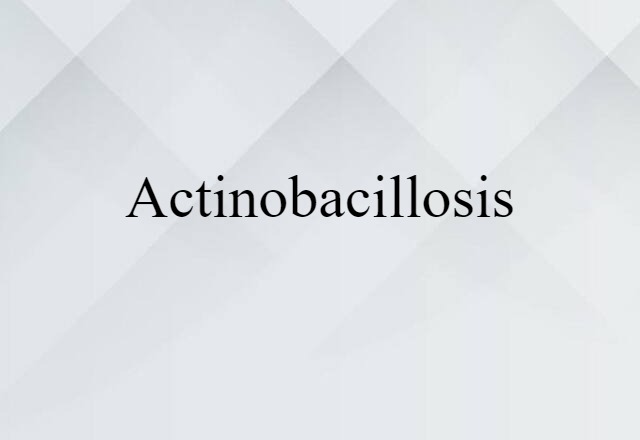 actinobacillosis