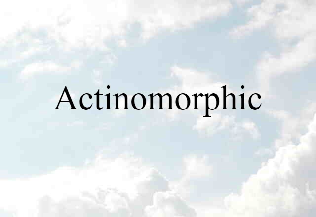 actinomorphic