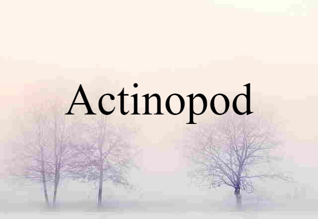 actinopod