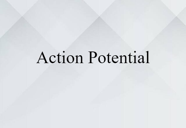 Action Potential (noun) Definition, Meaning & Examples