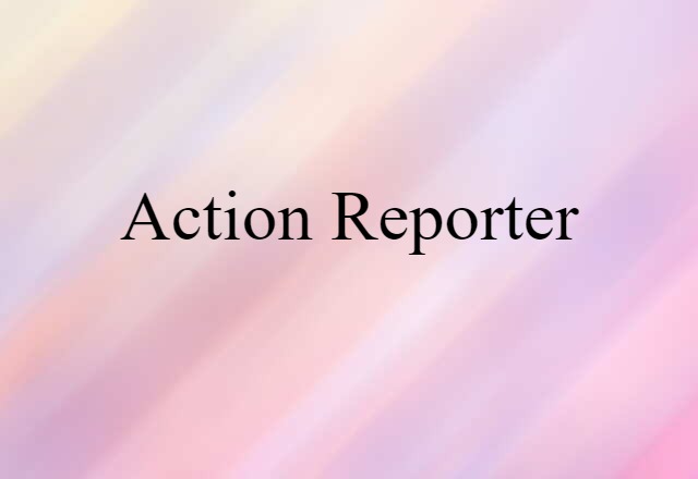 Action Reporter (noun) Definition, Meaning & Examples