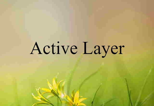 active layer