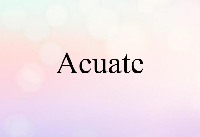 Acuate (noun) Definition, Meaning & Examples