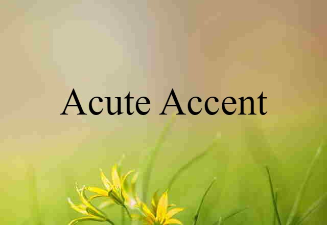 Acute Accent (noun) Definition, Meaning & Examples