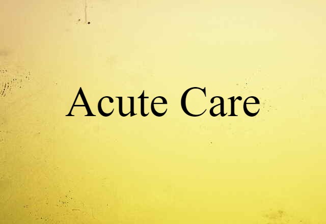 Acute-care (noun) Definition, Meaning & Examples