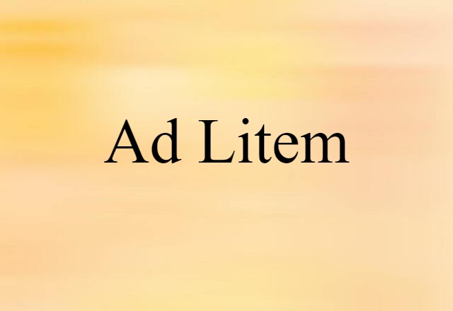 Ad Litem (noun) Definition, Meaning & Examples