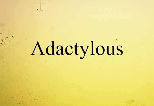 Adactylous (noun) Definition, Meaning & Examples