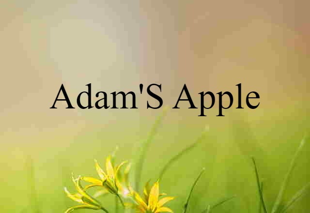 Adam's Apple (noun) Definition, Meaning & Examples