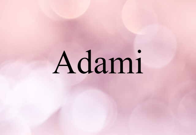 Adami (noun) Definition, Meaning & Examples