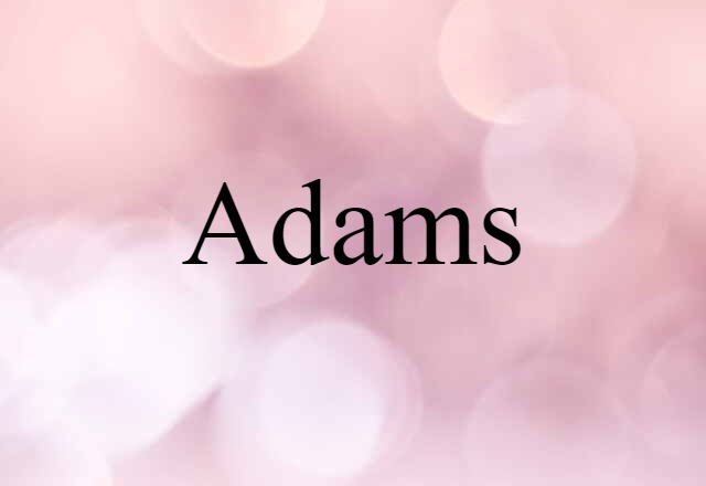 Adams (noun) Definition, Meaning & Examples