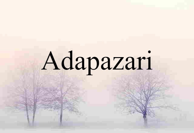 Adapazari (noun) Definition, Meaning & Examples