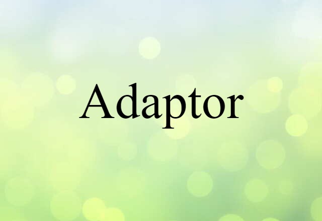 Adaptor (noun) Definition, Meaning & Examples