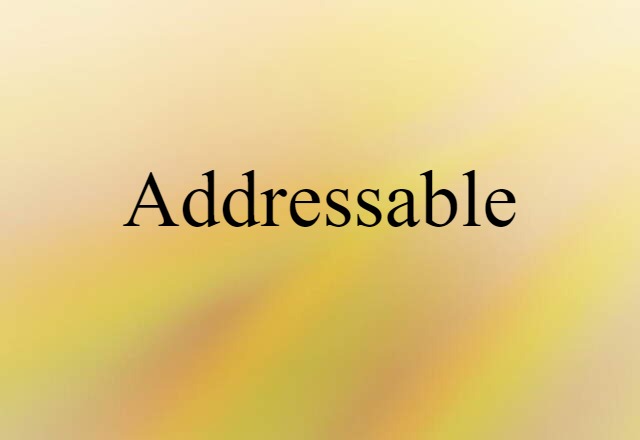 Addressable (noun) Definition, Meaning & Examples