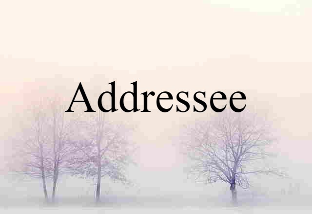 Addressee (noun) Definition, Meaning & Examples