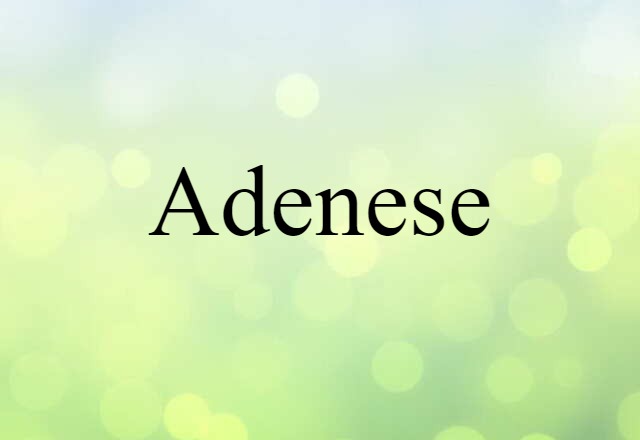 Adenese (noun) Definition, Meaning & Examples