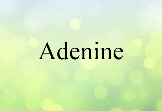 Adenine (noun) Definition, Meaning & Examples